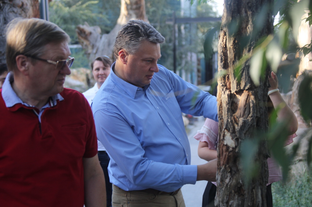 圖片關(guān)鍵詞