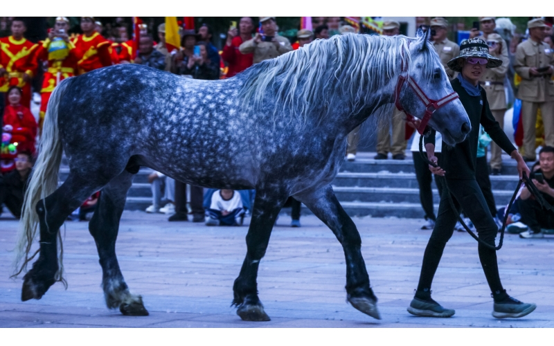 北屯市185團巡游