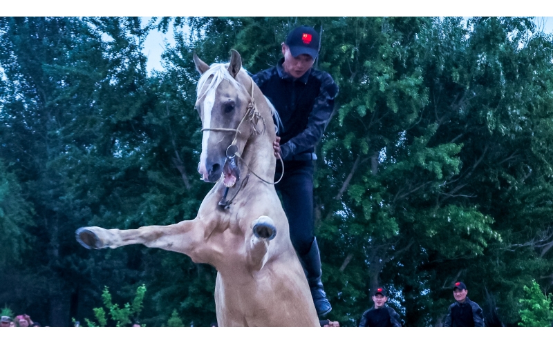 北屯市185團巡游