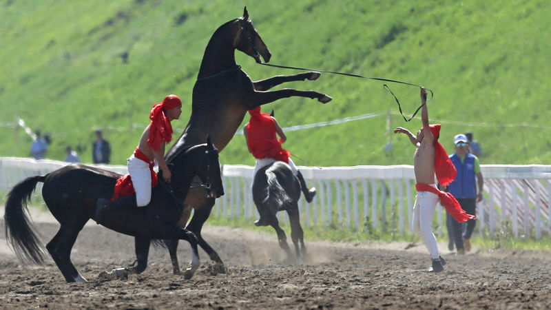圖片關(guān)鍵詞 圖片關(guān)鍵詞